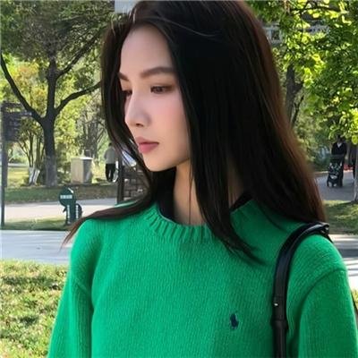 忠烈杨家将